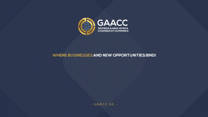10 Major Reasons to Invest in Georgia